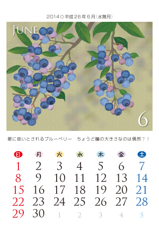 FRUITS 2014Ni26Nj6