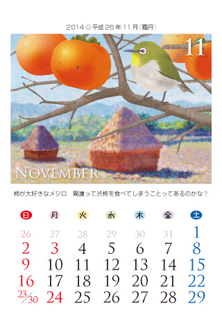 FRUITS 2014Ni26Nj11