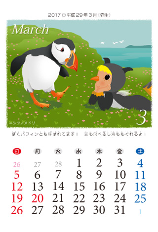 BIRDS FCȒgǂ@2017Ni29Nj3
