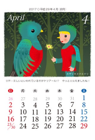 BIRDS FCȒgǂ@2017Ni29Nj4