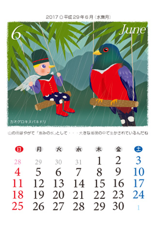 BIRDS FCȒgǂ@2017Ni29Nj6