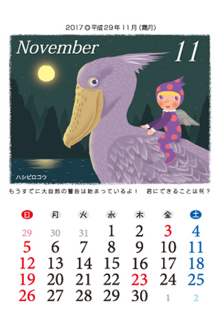 BIRDS FCȒgǂ@2017Ni29Nj11